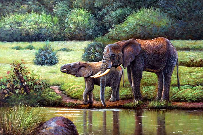 Thirsty Elephants