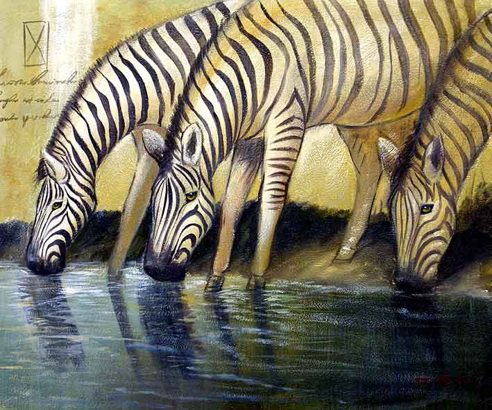 Thirsty Zebras