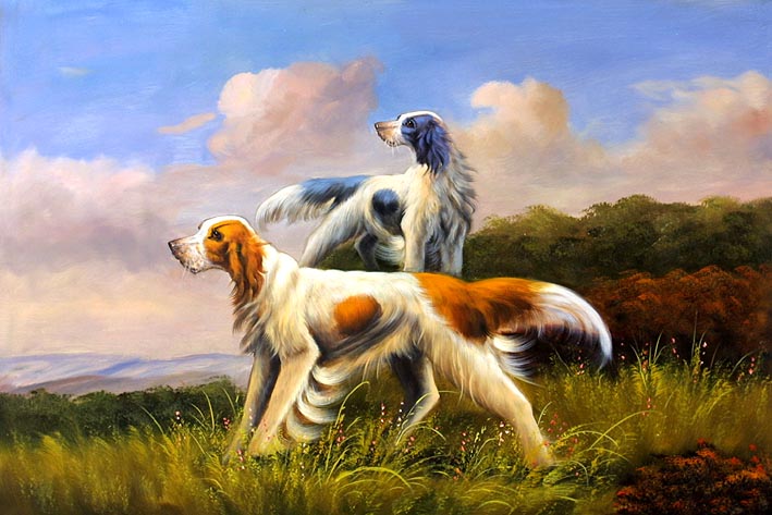 Irish Setters