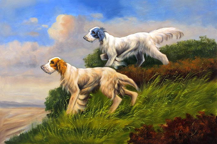 Irish Setters