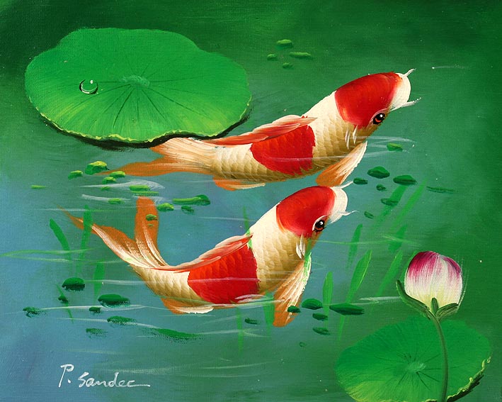 Koi Carps