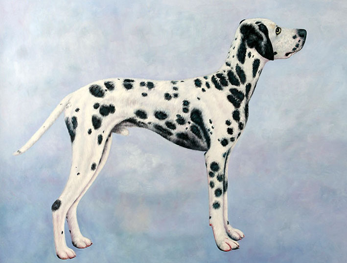 A Dalmatian Doggie, I