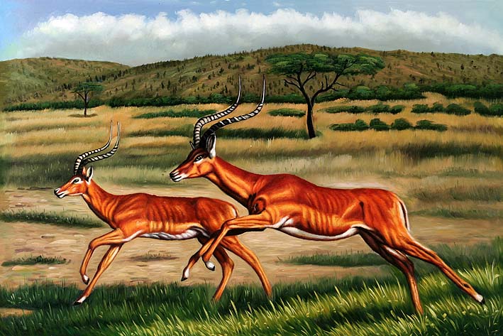 Antelope Agility