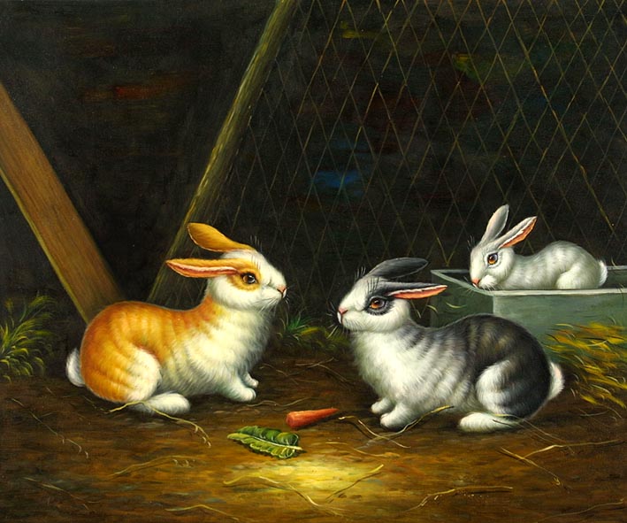 Domestic Rabbits