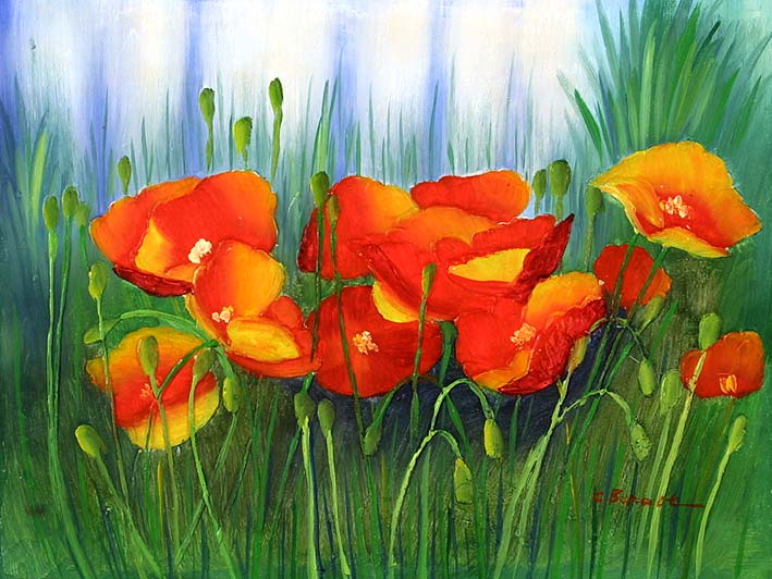 Hidden Poppies