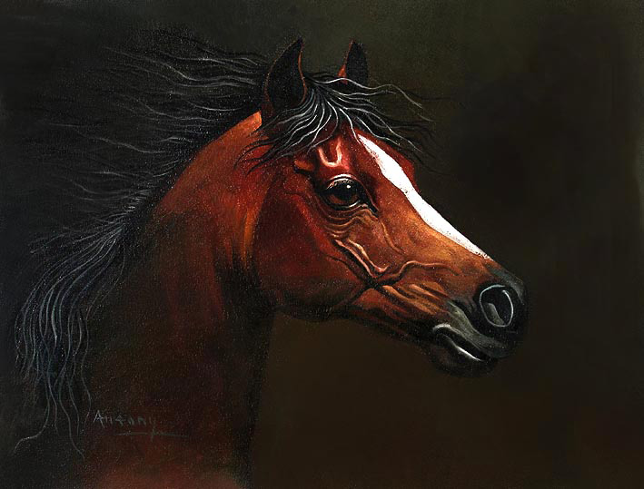 Horse Portrait