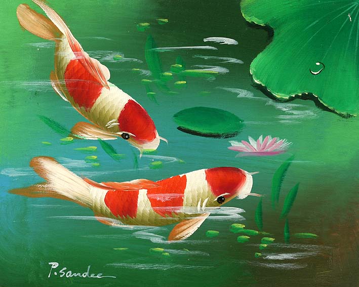 Koi Carps