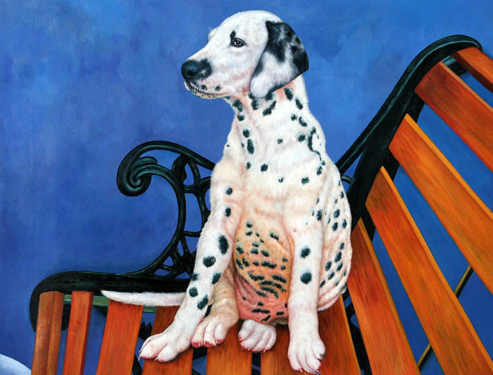 A Dalmatian Doggie, III