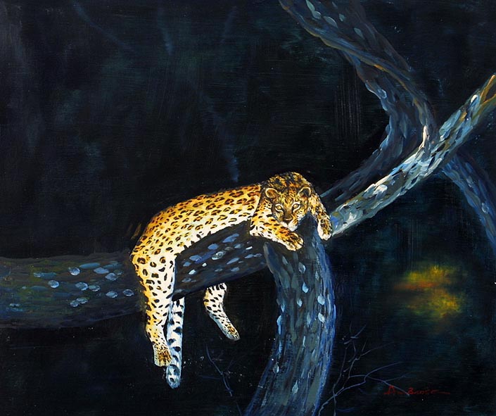 A Leopard Hanging in a Tree