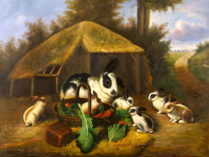 Flemish Giant Rabbit Nest