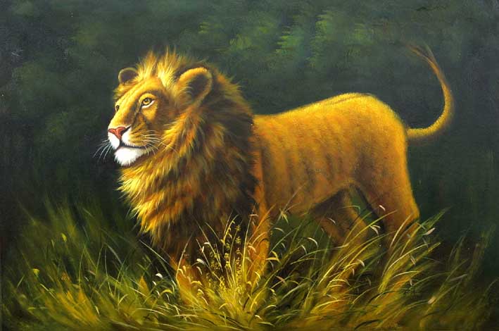 Lion in High Grass