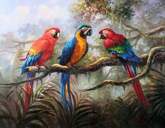 Monarchical Macaws