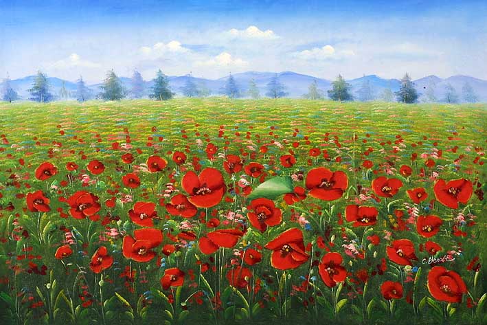 Poppies in the Field