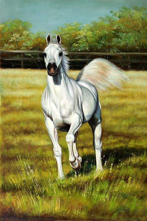 Horse Portrait