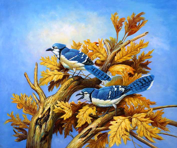 Birds in a Tree Top