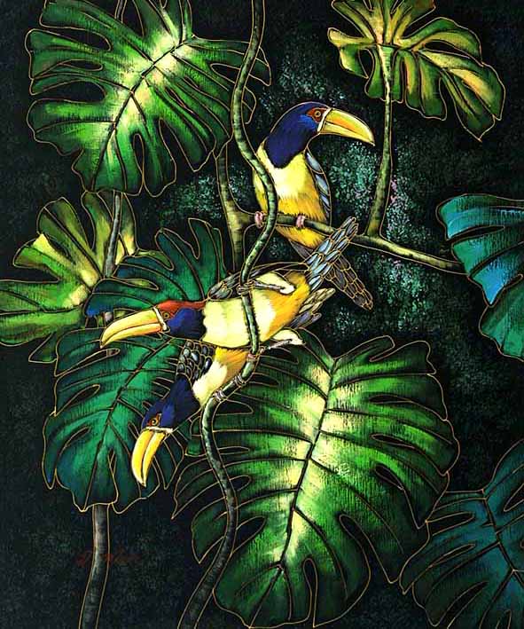 Gold-Breasted Toucans