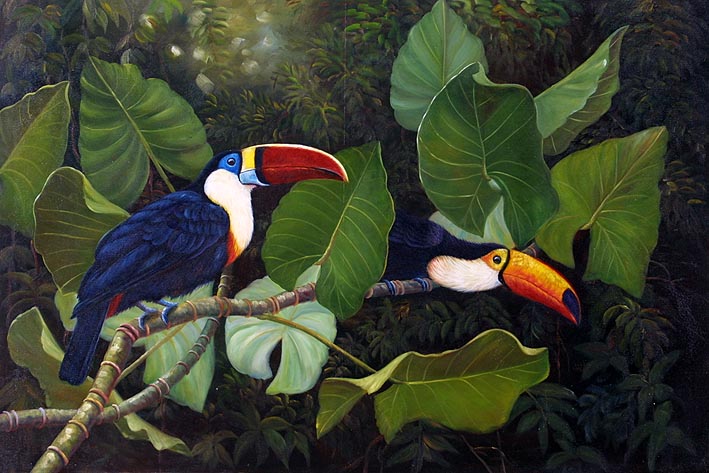 Rainforest Habitants, III