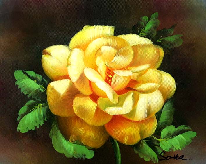 Yellow Rose