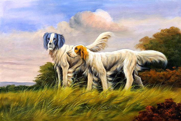 Irish Setters