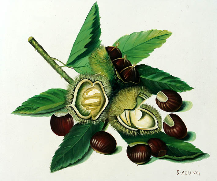 Chestnuts