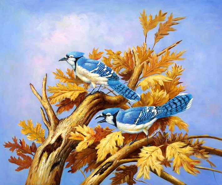 Jays in a Tree Top