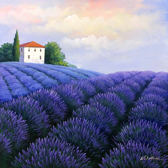 Lavender Land, VI