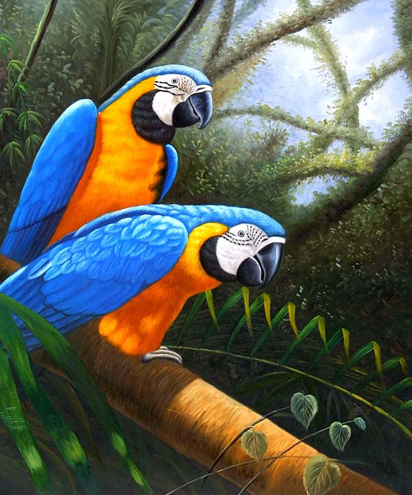 Macaw Mates
