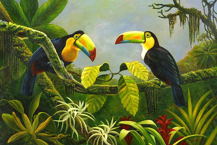 Rainforest Habitants, II