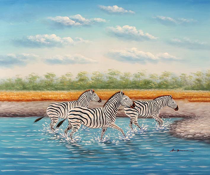 Zebras Wading Through The Water