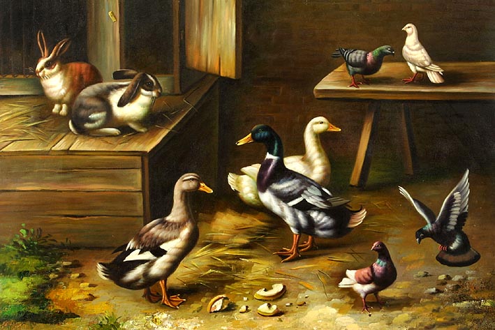 Rabbits, Ducks and Pigeons