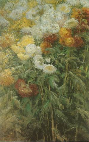 Chrysanthemums, Garden at Petit Gennevilliers