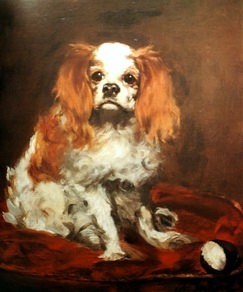 A King Charles Spaniel