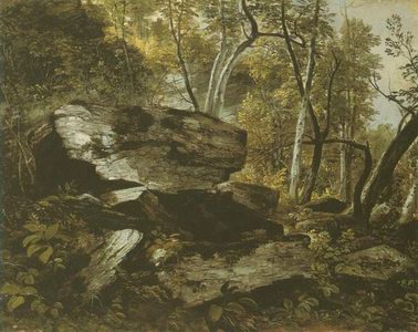 Study from nature, Rocks and trees