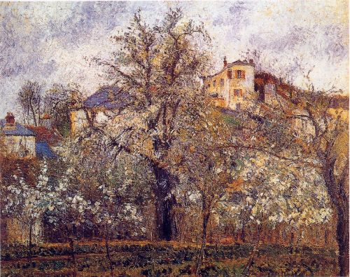 Vegetable Garden and Trees in Blossom, Spring, Pon