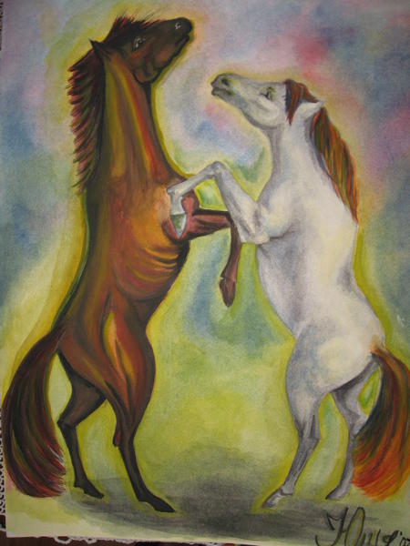 Horses in love