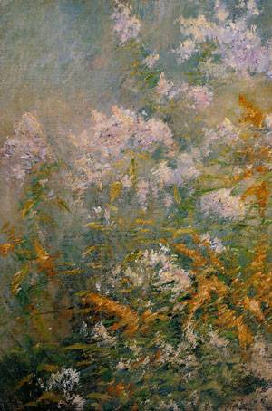 Meadow Flowers 1893