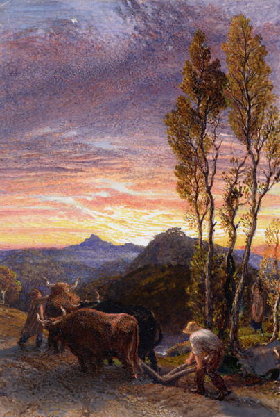 Oxen Ploughing at Sunset