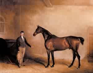 Mr C N Hoggs Claxton And A Groom In A Stable