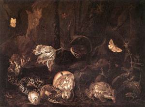 Still Life with Insects and Amphibians 1662