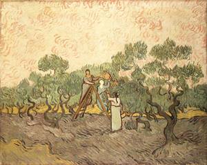 Women Picking Olives