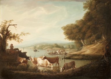 A Calm Watering Place Extensive and Boundless Scene with Cattle