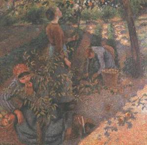 Apple Picking 1886