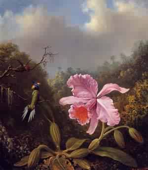 Fighting Hummingbirds with Pink Orchid 1875-1880