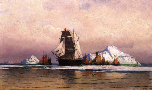 Fishing Fleet off Labrador