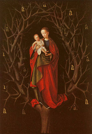 Our Lady Of The Barren Tree Oak