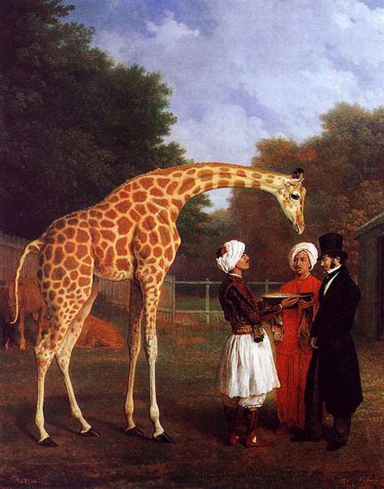 Agasse Reproductions - The Nubian Giraffe