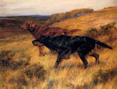 Two Pointers In A Landscape