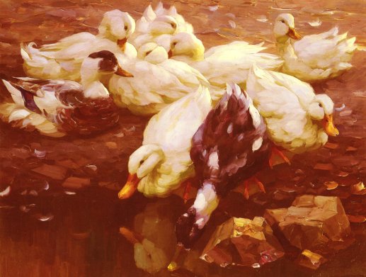 Alexander Koester - Ducks in the Pond