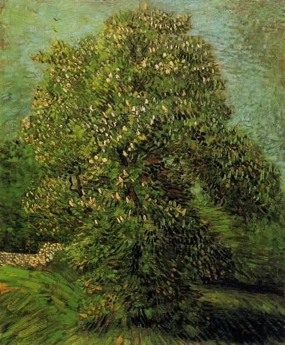 Vincent van Gogh - Chestnut Tree in Bloom