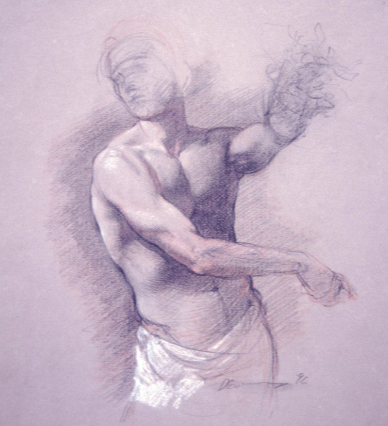 Drawing of Male Torso